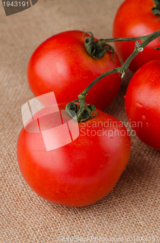 Image of Cherry tomatoes vine