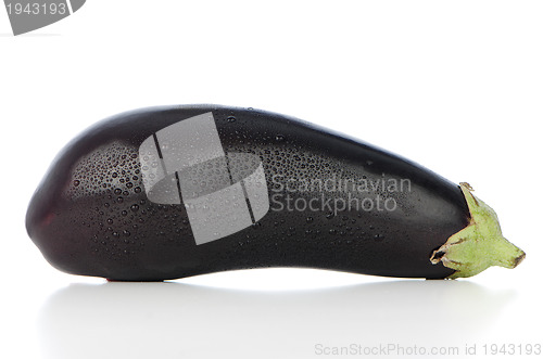 Image of Big eggplant closeup
