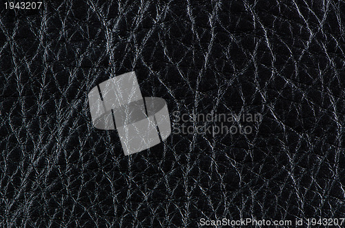 Image of Black leather texture