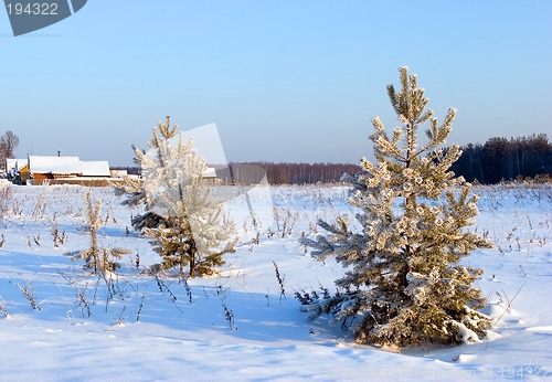 Image of Winter landscape