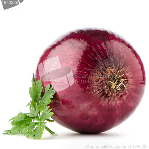 Image of Red onion tuber and fresh parsley