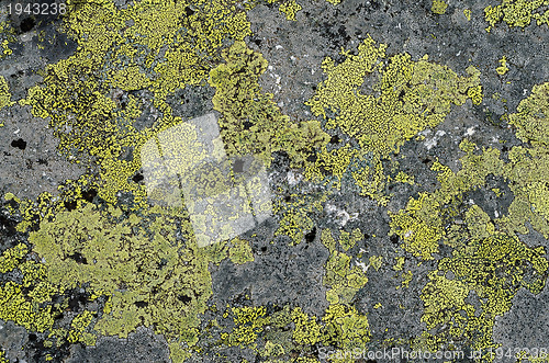 Image of Stone background 