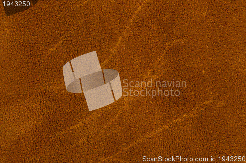 Image of Natural brown leather