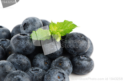 Image of Ripe blueberry
