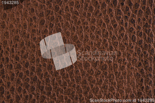 Image of Natural brown leather