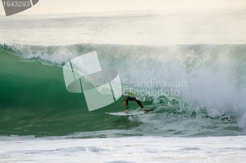 Image of Taylor Knox