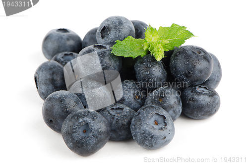 Image of Ripe blueberry