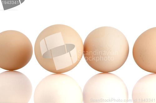 Image of Four eggs on white 