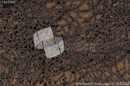 Image of Leather brown 