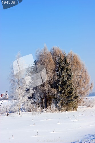 Image of Winter landscape