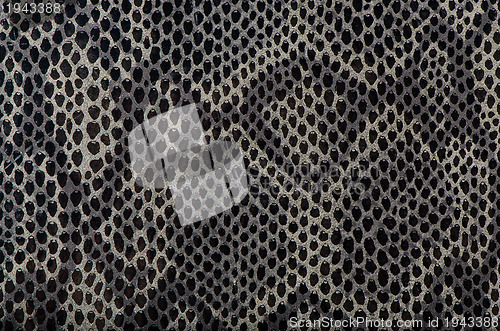 Image of Snake skin background