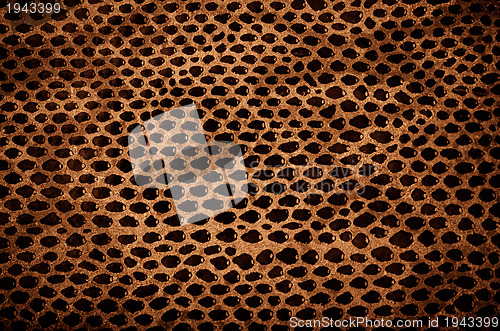 Image of Snake Skin Leather Texture 