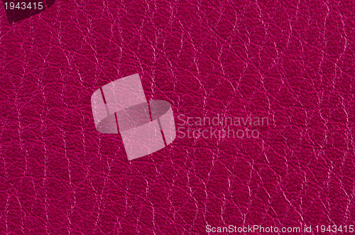 Image of Pink leather 