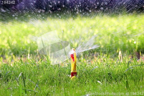 Image of Water sprinkler on green lawn