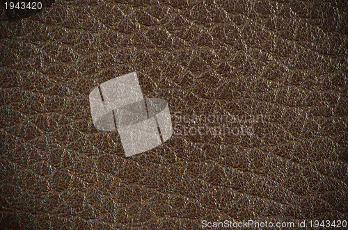 Image of Brown leather 