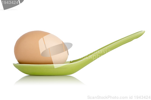 Image of Brown egg in a green ceramic spoon