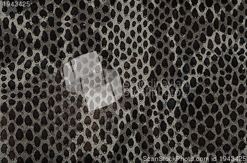 Image of Snake skin background