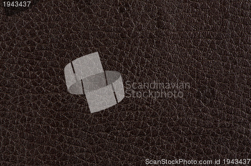 Image of Brown leather 