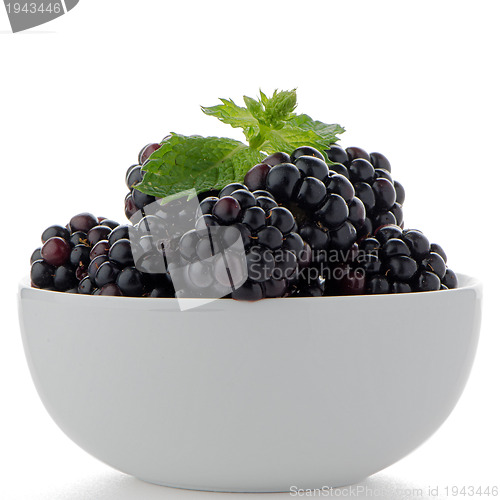 Image of Blackberries in White Bowl