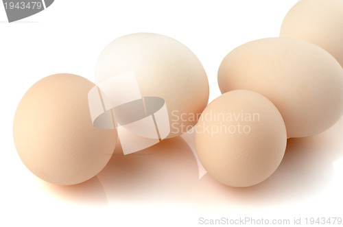 Image of Five eggs on white 