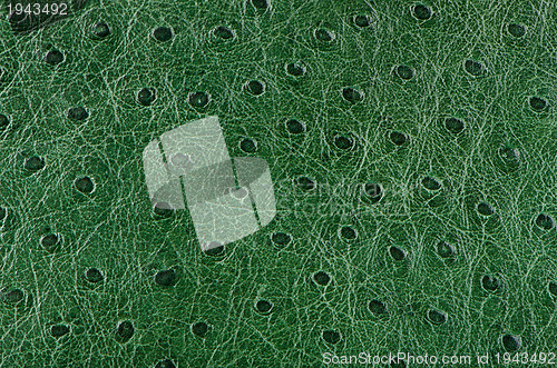 Image of Green leather 