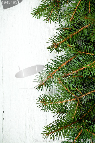 Image of christmas fir tree