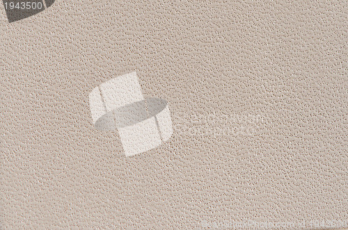 Image of White leather 