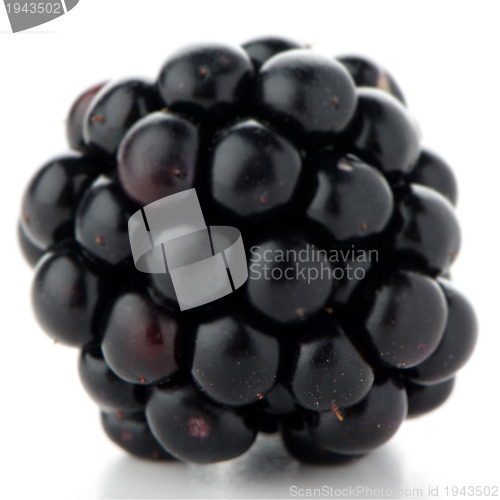 Image of Blackberry