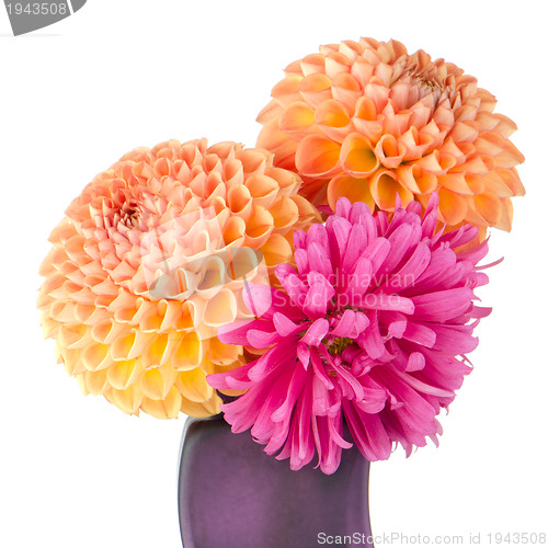 Image of Three dahlias 