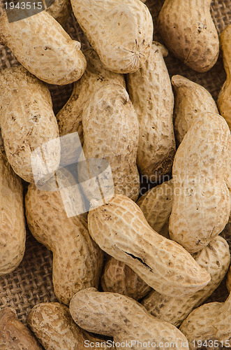 Image of Peanuts