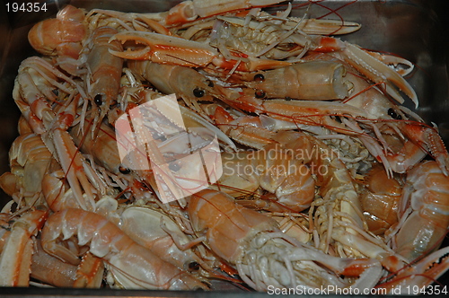 Image of crawfish