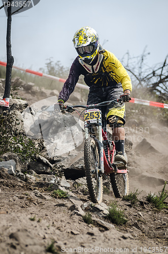 Image of Andre Rodrigues