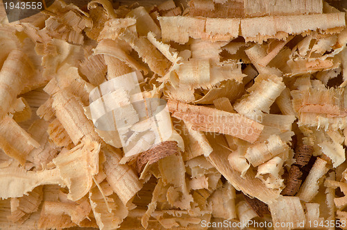 Image of Wood shavings