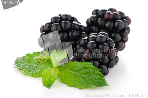 Image of fresh berry blackberry