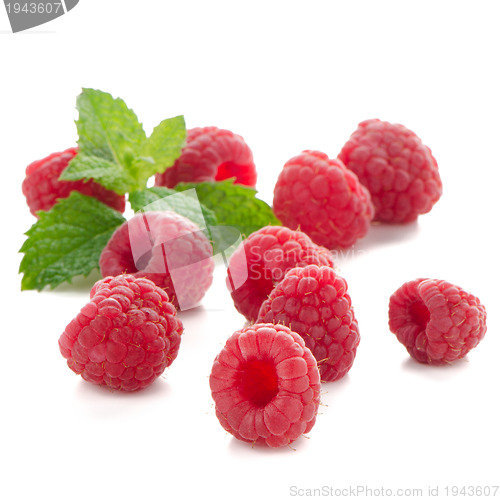 Image of Ripe red raspberry