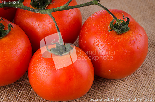 Image of Cherry tomatoes vine