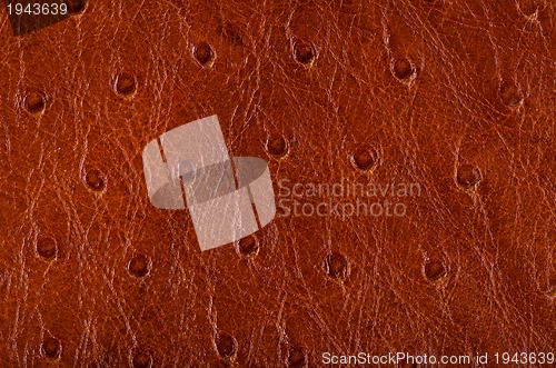 Image of Leather texture background 