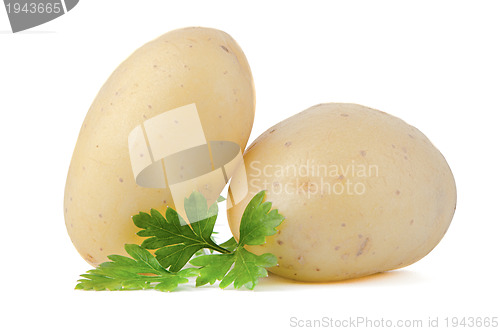 Image of New potato and green parsley