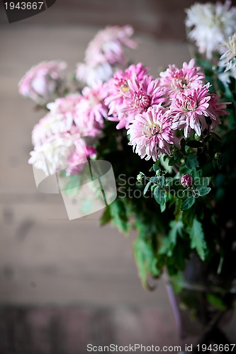 Image of bouquet of pink chrysanthemum