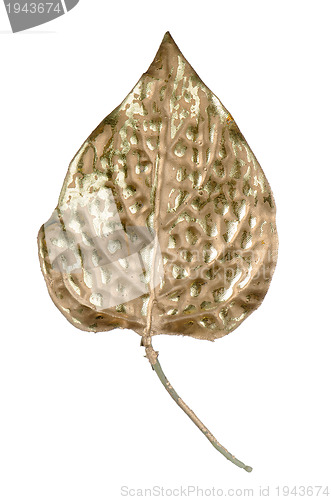 Image of Beautiful decorative golden leaf 