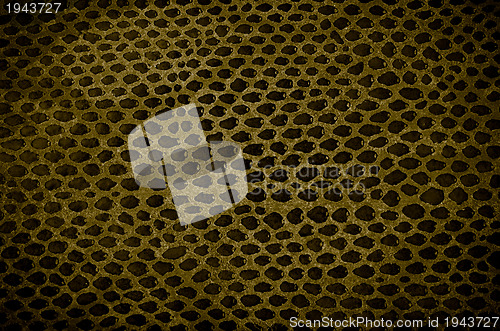 Image of Snake Skin Leather Texture 