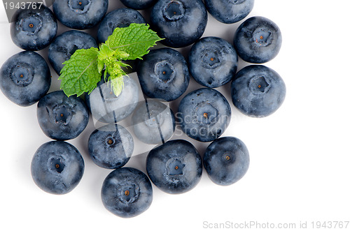 Image of Ripe blueberry