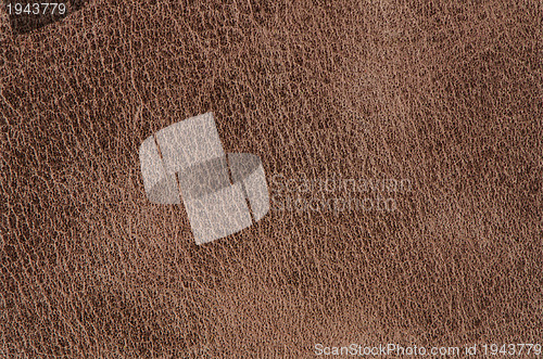 Image of Brown leather 