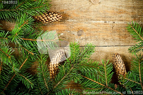 Image of christmas fir tree with pinecones 