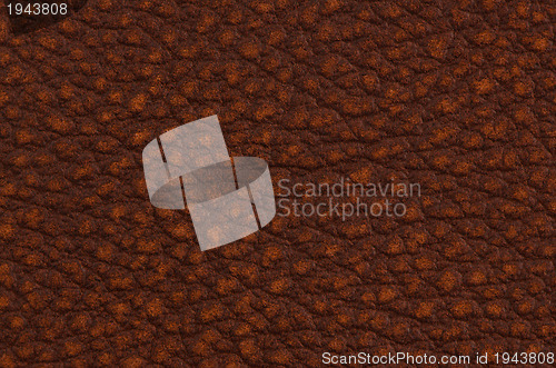 Image of Brown leather 