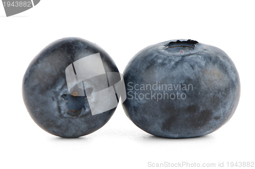 Image of Sweet Blueberries