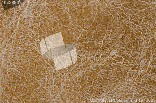 Image of Brown leather 