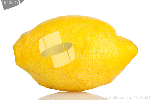 Image of Lemon fruit