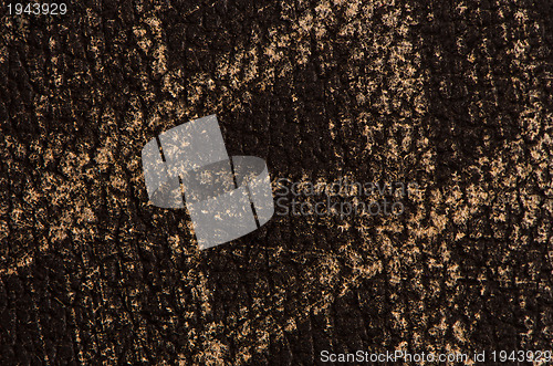 Image of Leather background 