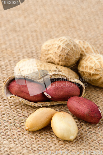Image of Peanuts